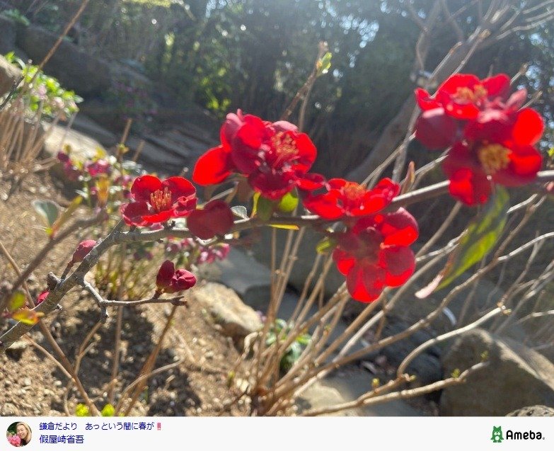 出所：假屋崎省吾の公式ブログ　参照日：2026年3月10日