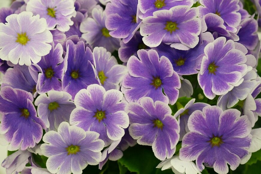 y-studio/istockphoto.com