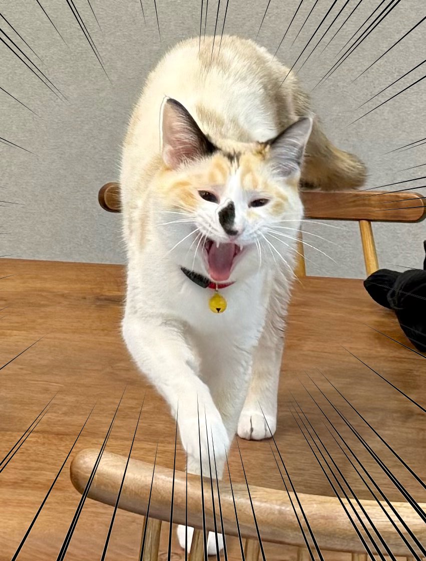 出所：@omochi_nam01