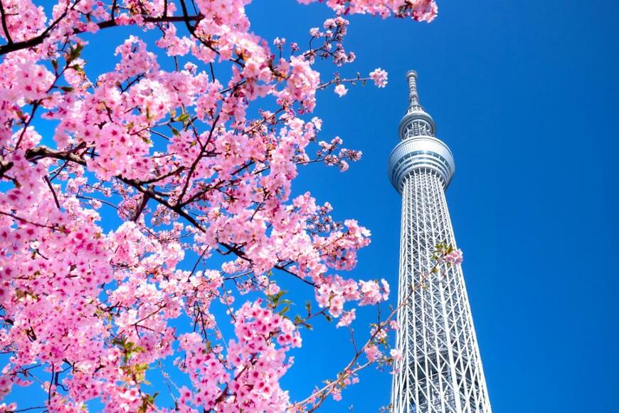 yoshi0511/shutterstock.com