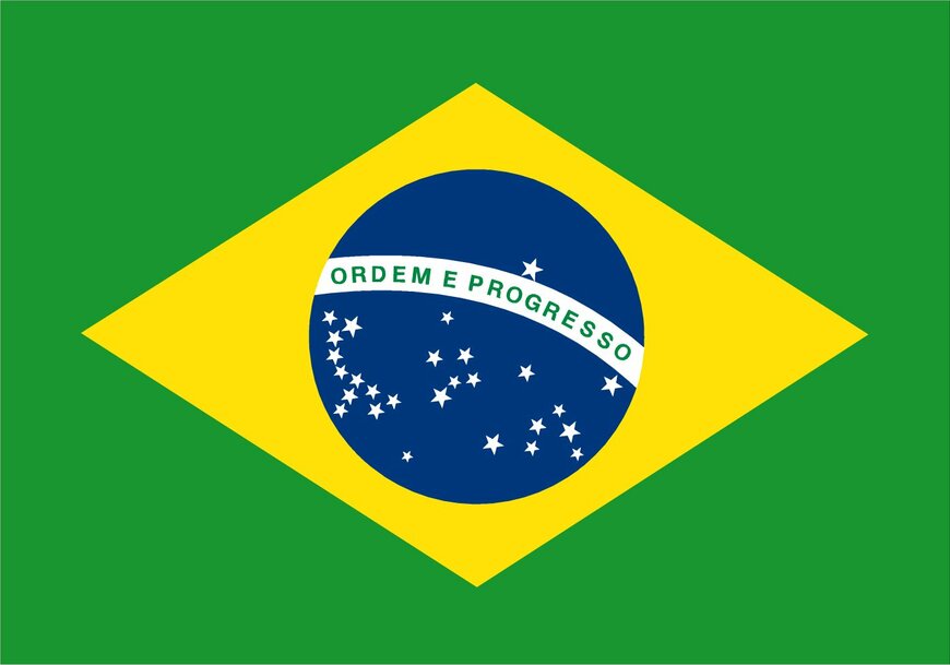 このブラジル国旗、まちがいはどこでしょう？（難易度S）