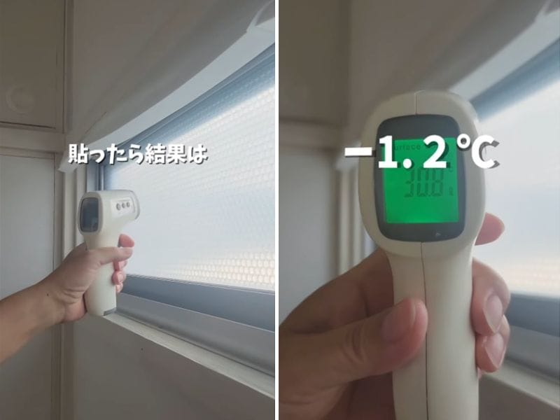 投稿の画像