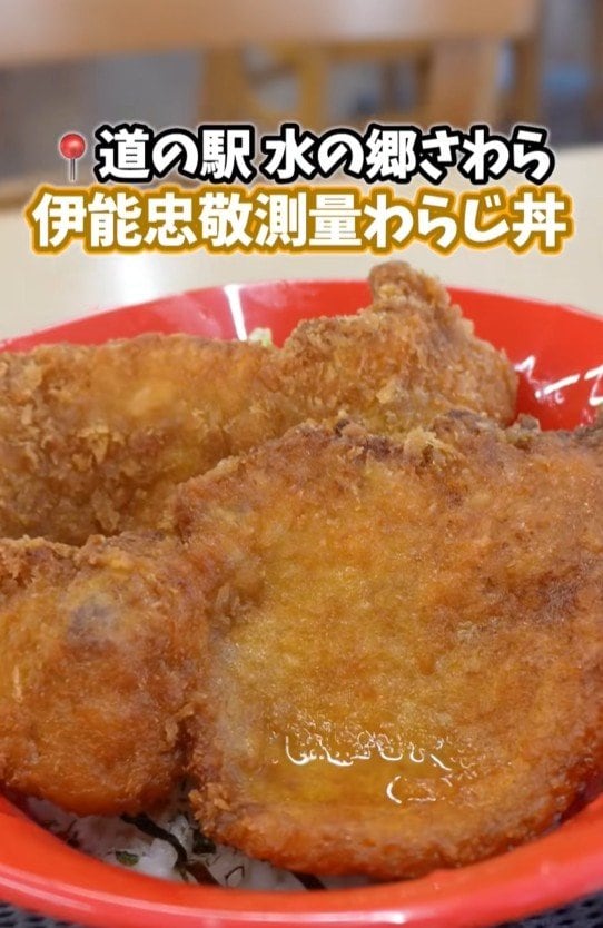 伊能忠敬測量わらじ丼
