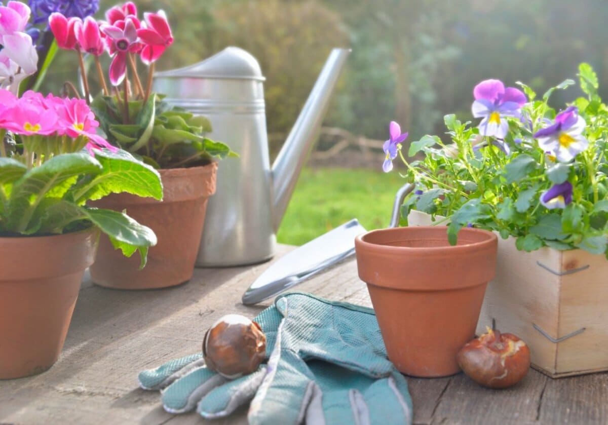 たった3苗で【センスのいい寄せ植え】4か月以上ずっと飾れる「季節ごと