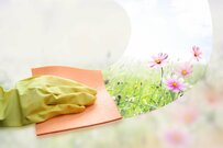 【雨大ほねっちの12星座占い】金運のカギはお掃除の仕方にあり!? あなたが一番片付けなくてはいけないのは？