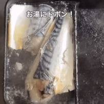 夫を沼らせる絶品の【焼かない鯖そぼろ弁当】骨なし鯖を茹でてほぐしてそぼろに！魚なのに満足度が高いお弁当に反響続々