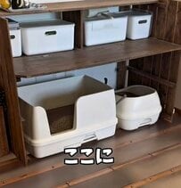 【ペットDIY】家にある〈すのこ〉を活用してスタイリッシュな〈猫トイレの目隠し〉が完成！目隠しをつけたままでもシートを取り替えられる、機能性抜群の実用的アイデア