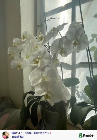 假屋崎省吾の公式ブログ投稿