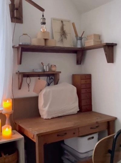 セリアやダイソーの商品を使った収納