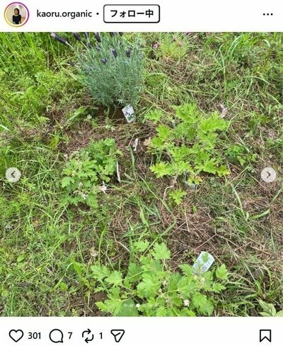 杉田かおるのInstagram投稿