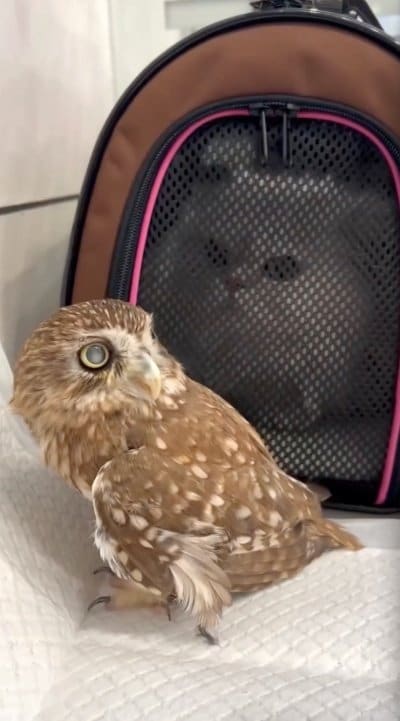 出所：@cr8673.hiro