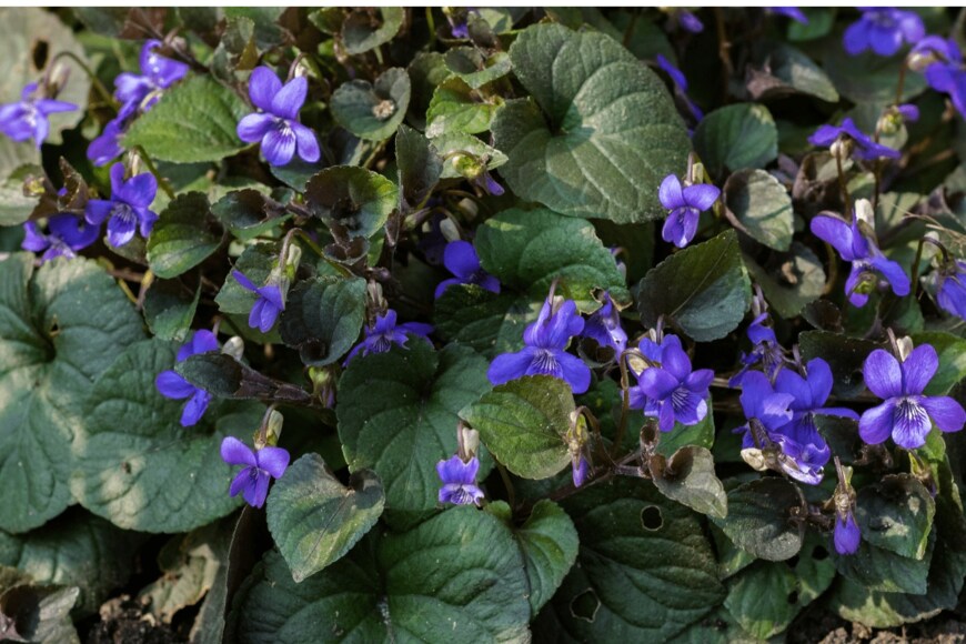 Meindert van der Haven/istockphoto.com