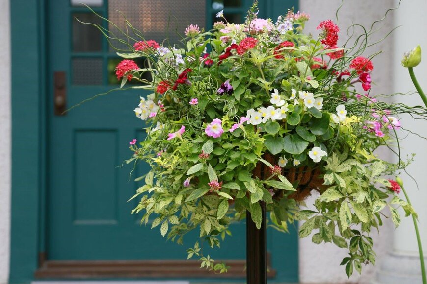 aozora1/istockphoto.com