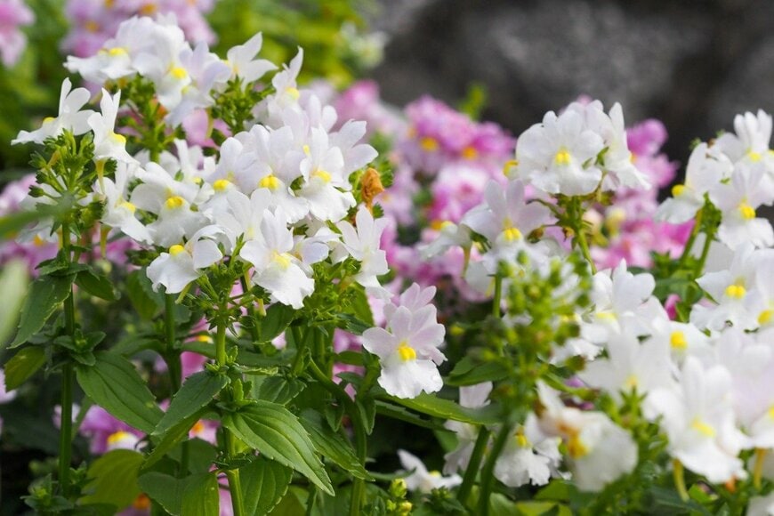 Sungsu Shin/istockphoto.com