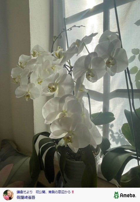 出所：假屋崎省吾の公式ブログ　参照日：2025年12月2日