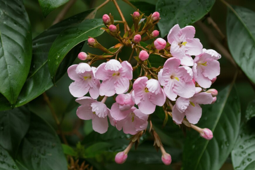 sasimoto/shutterstock.com