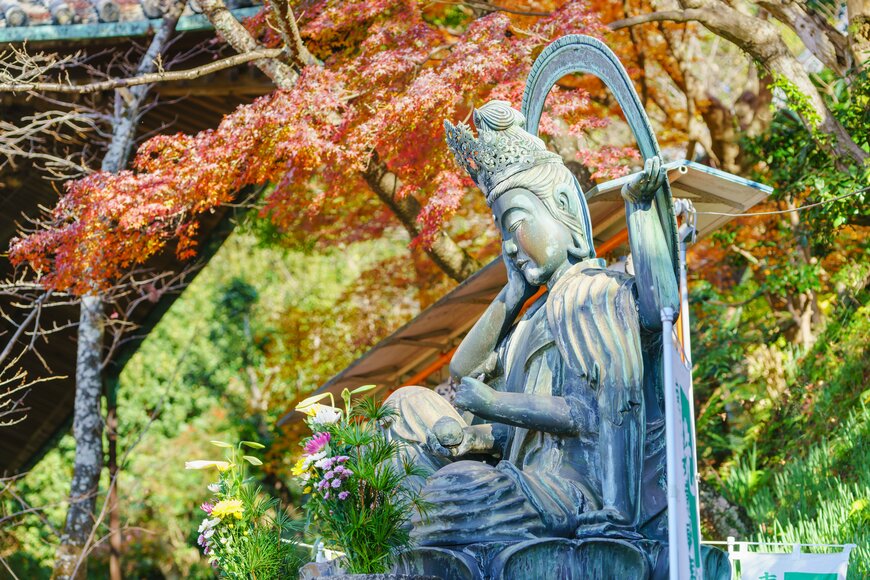 Tooykrub/shutterstock.com