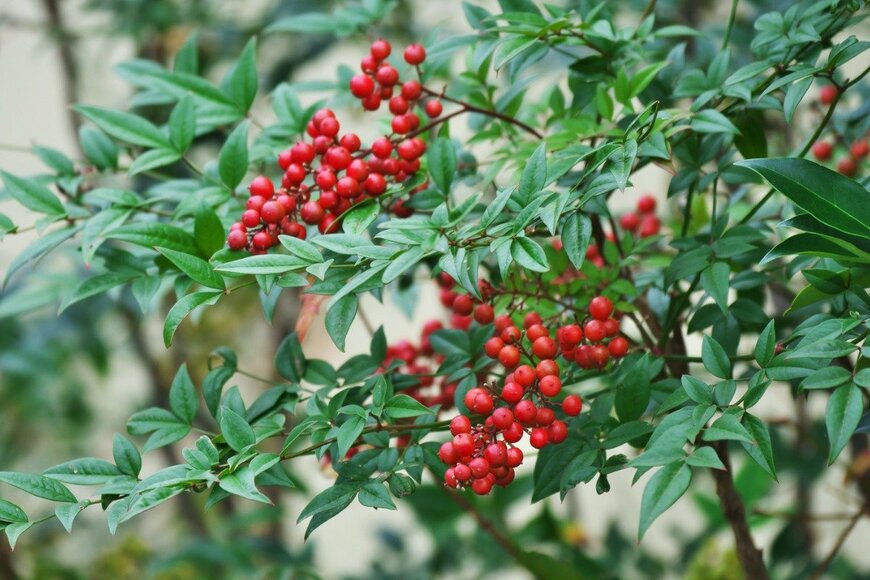 igaguri_1/istockphoto.com