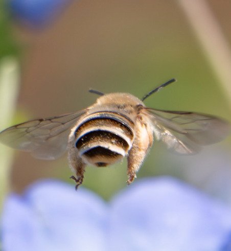 出所：@nagatani_nonoko