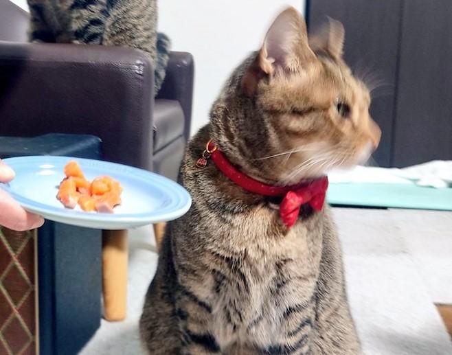 出所：@Mh0MLiErcV8E97C