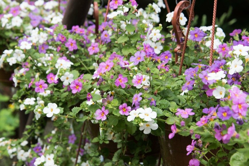 Dina Damotseva/istockphoto.com