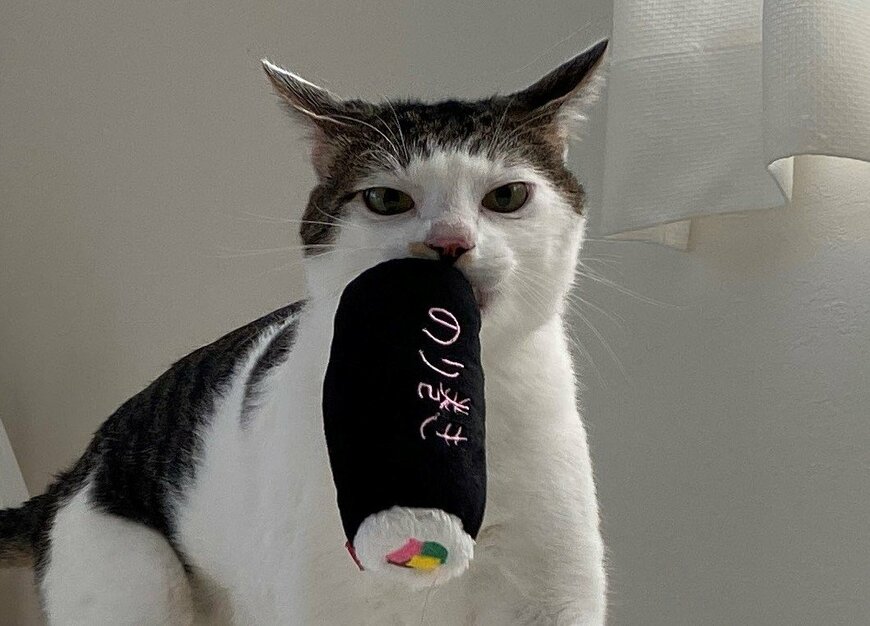 出所：@Saeroyi_cat