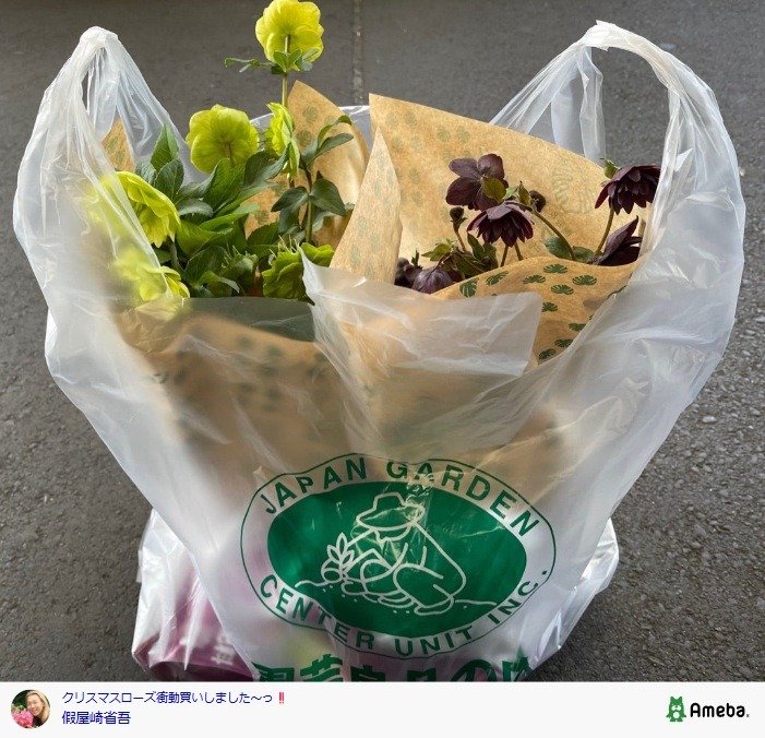 出所：假屋崎省吾の公式ブログ　参照日：2026年3月5日