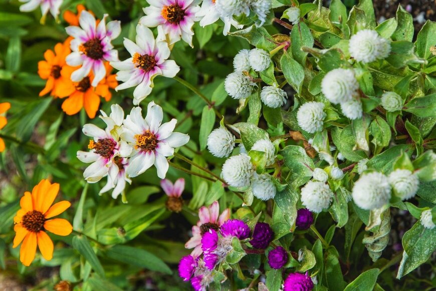 Handoko fhoto/shutterstock.com