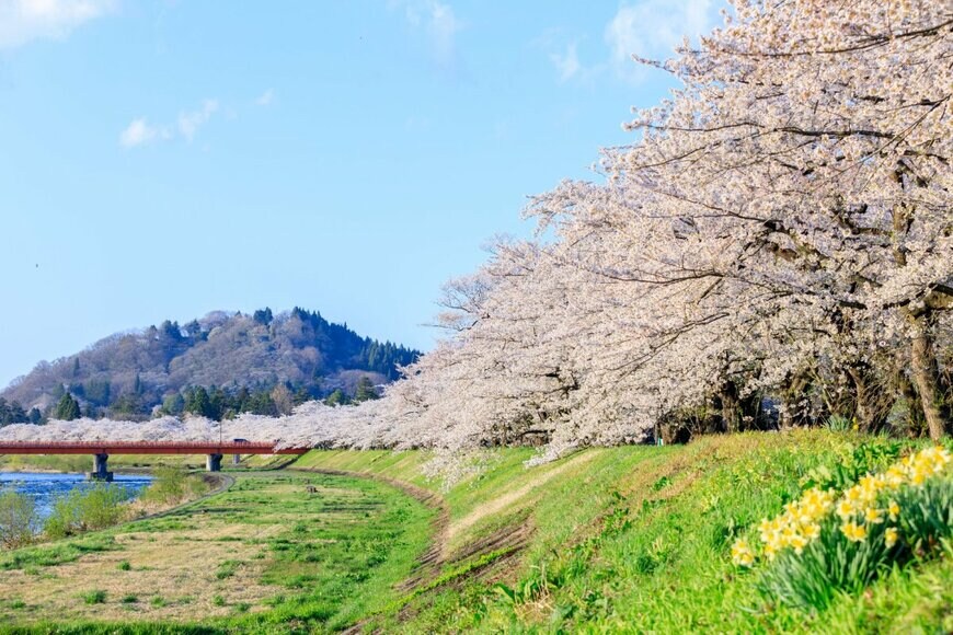 amosfal/shutterstock.com