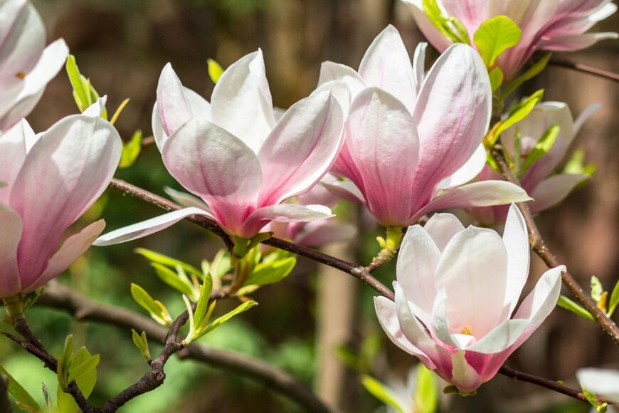 K-digitalstudio/shutterstock.com