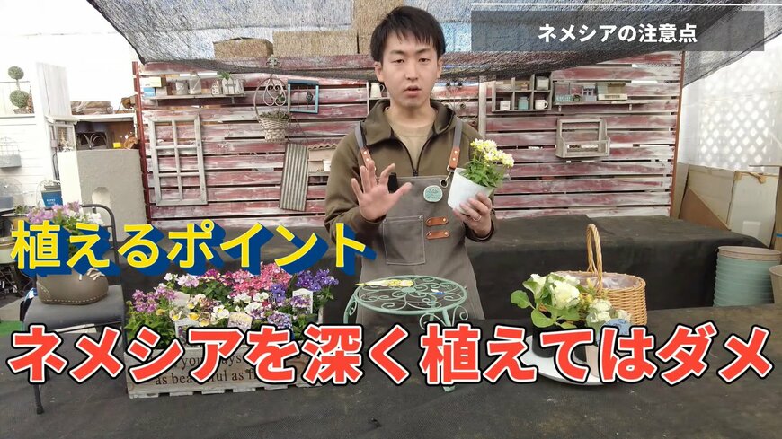 出所：@petit_fleur