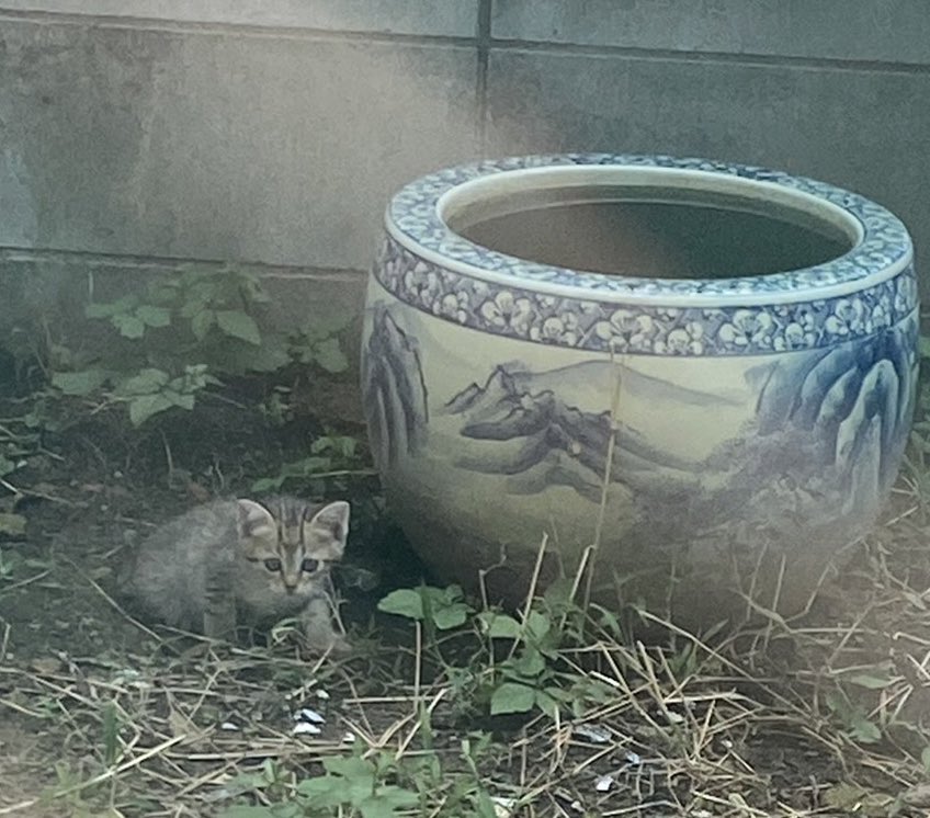 出所：@8rjXhLaRHFwK9l2