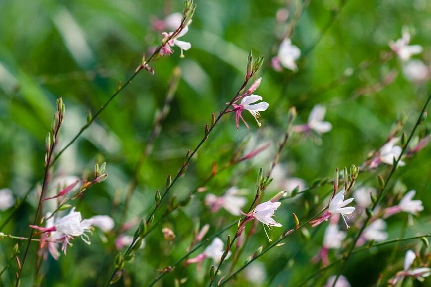 Bojanikus/istockphoto.com