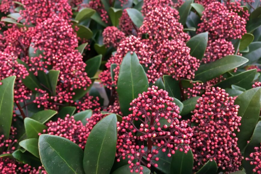 Eurybia/shutterstock.com