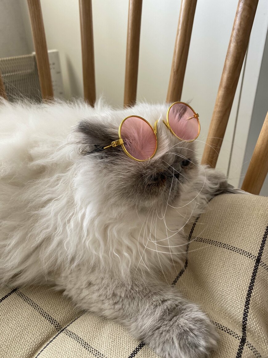 （昔の）TVプロデューサー風