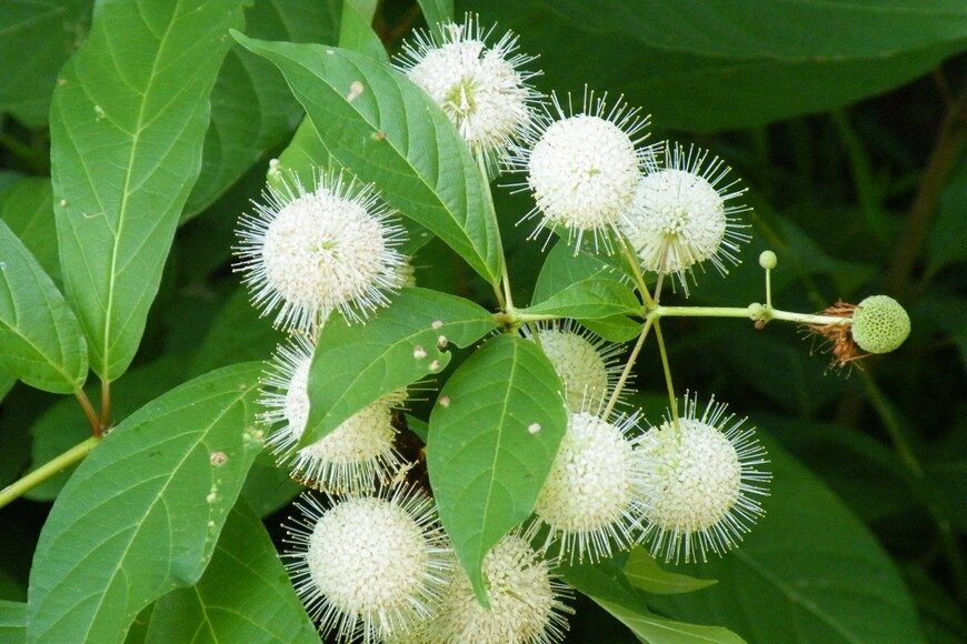 ArtyAlison/istockphoto.com