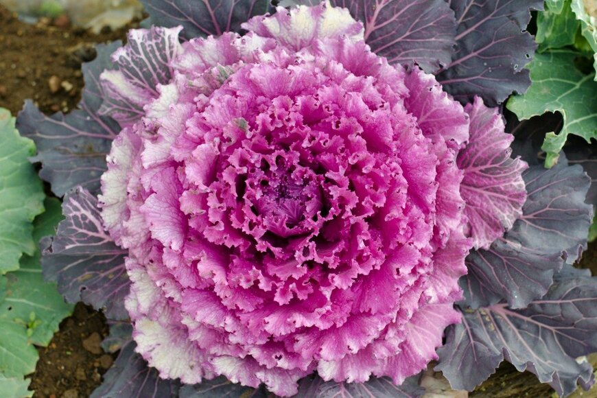 joloei/istockphoto.com