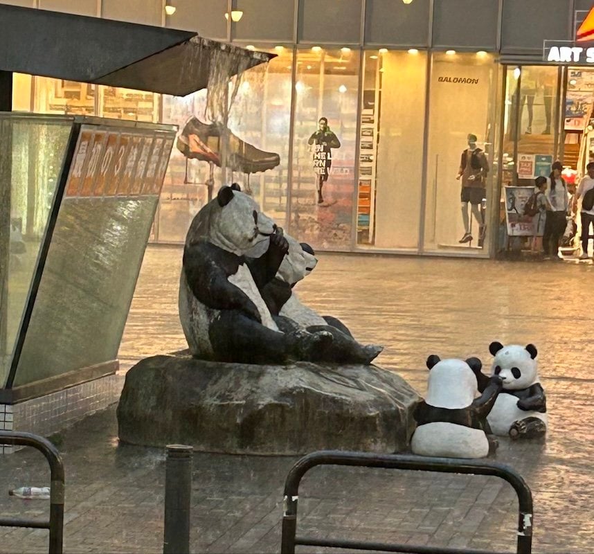 パンダの頭に注目