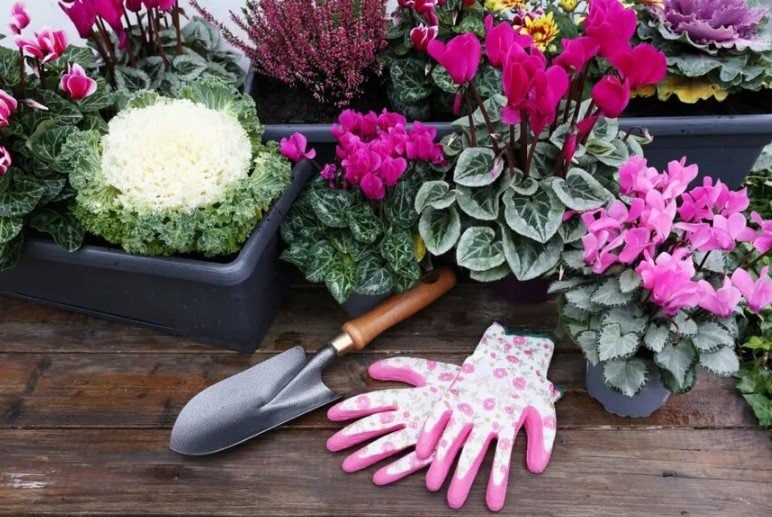 Aygul Bulte/shutterstock.com