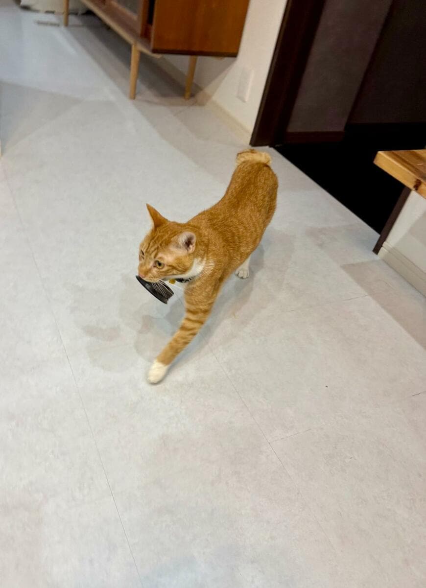 出所：@omochi_nam01