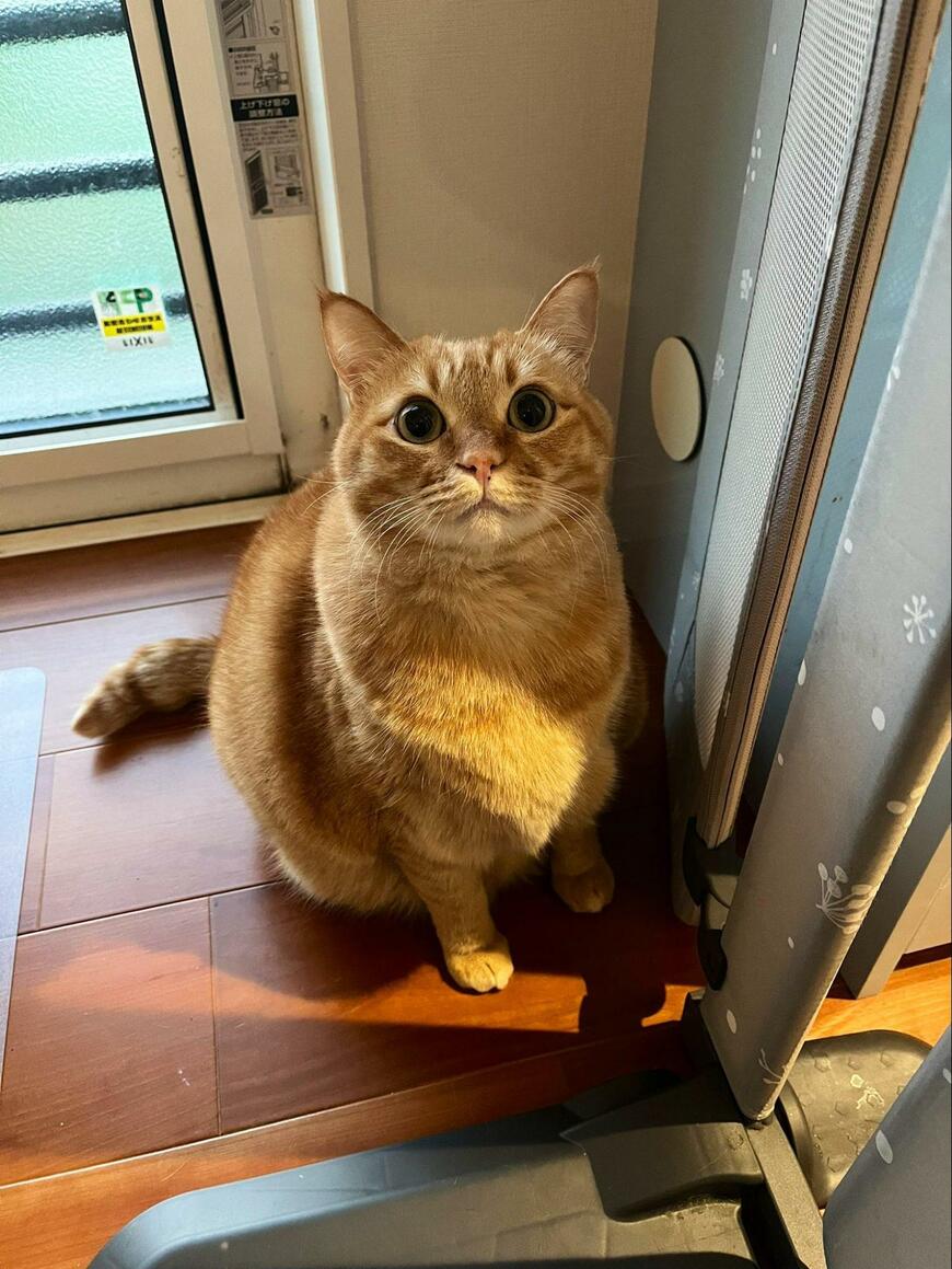 出所：@kagisuzu0531