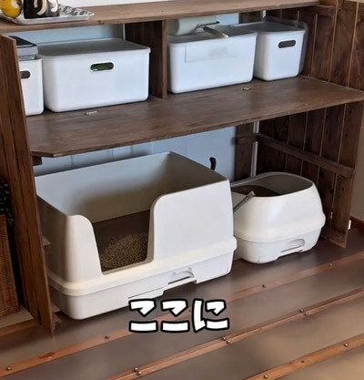 【ペットDIY】家にある〈すのこ〉を活用してスタイリッシュな〈猫トイレの目隠し〉が完成！目隠しをつけたままでもシートを取り替えられる、機能性抜群の実用的アイデア