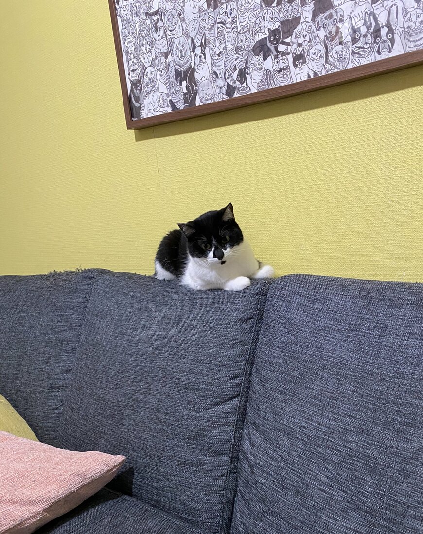 出所：@00shitemita