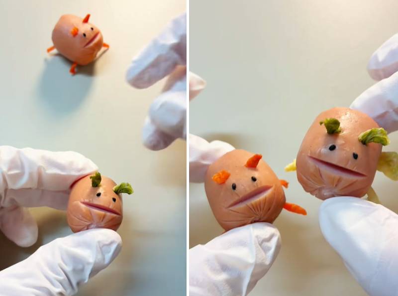 出所：@meineiowf5a