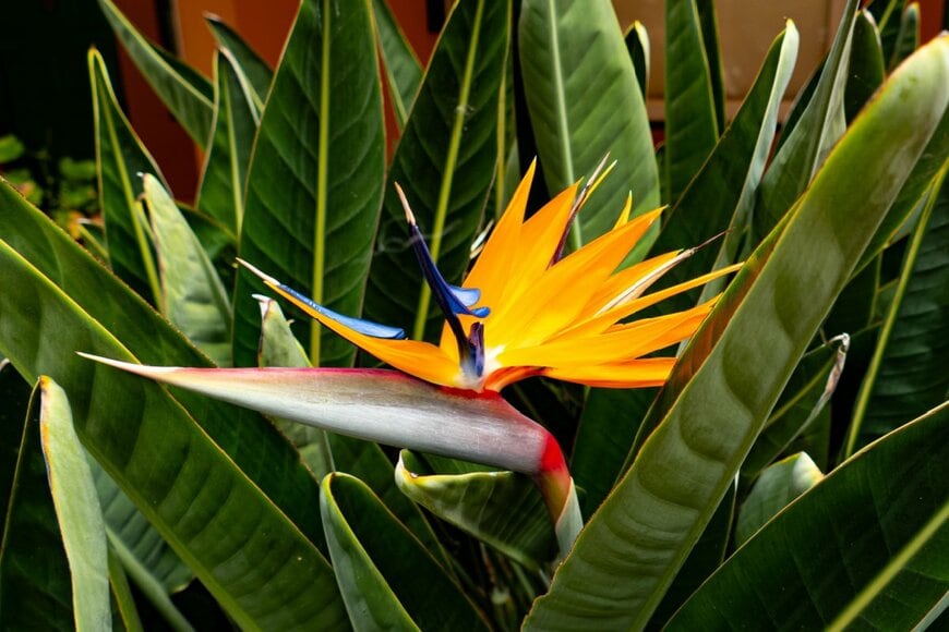 My_aquarium_blog/shutterstock.com