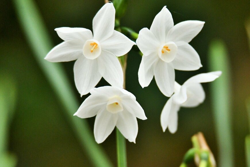 Kazuharu Harada/istockphoto.com