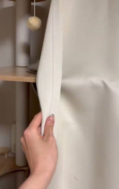 【最高の癒し】「こんなの癒されるに決まってる」の声！就寝前の猫ちゃんたちの様子がたまらん