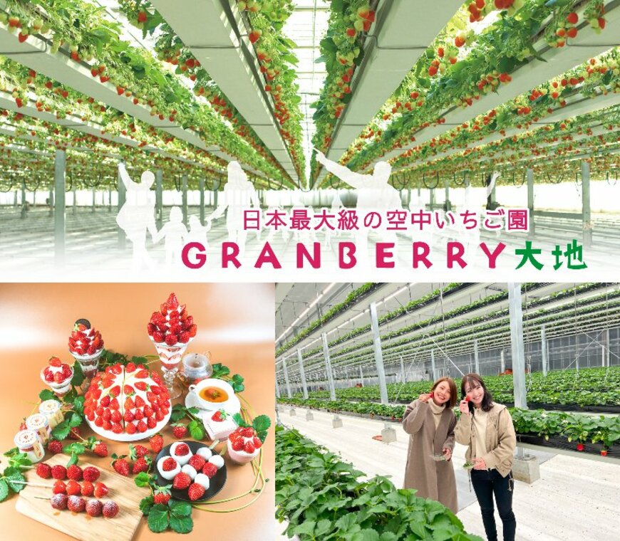 【いちご狩り】日本最大級の空中いちご園！茨城「グランベリー大地」 