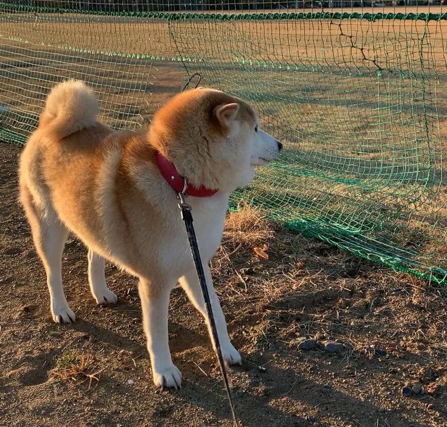 そのままお別れ