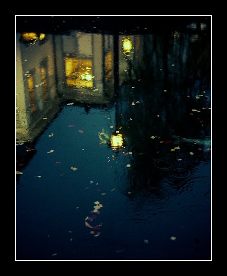 水面に映る夜景